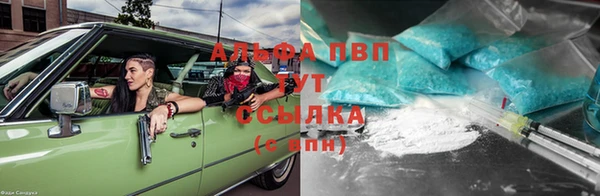 индика Алзамай