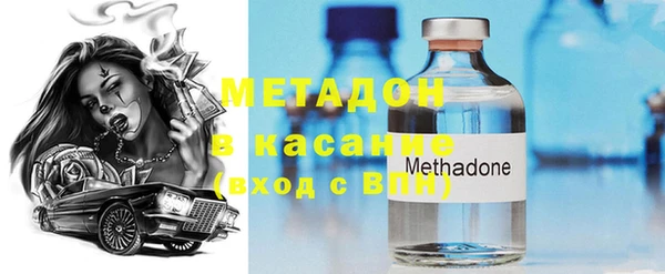 индика Алзамай