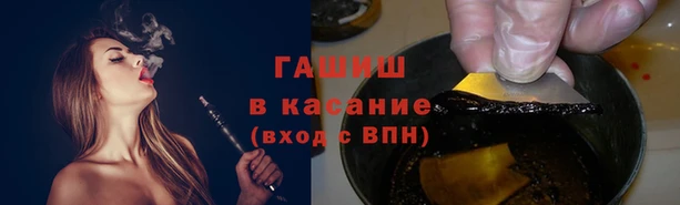 индика Алзамай
