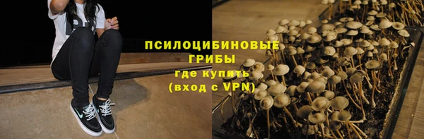 мяу мяу мука Алексин
