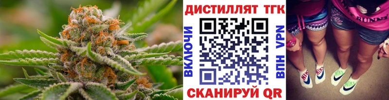 MEGA как зайти  Сосновоборск  ТГК THC oil  наркотики 