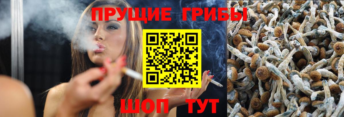 Галлюциногенные грибы мухоморы  купить наркотик  Вход с VPN  Сосновоборск  Псилоцибиновые грибы мухоморы 